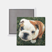 Aimant Chiot (Recto/Verso)