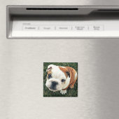 Aimant Chiot (In Situ (Lave-vaisselle))