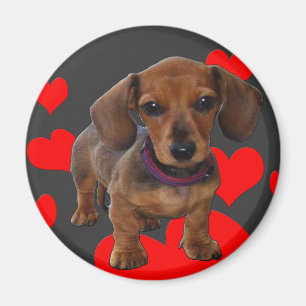 Aimant Chiot avec coeur
