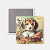Aimant Chiot Beagle vintage (Recto/Verso)