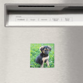 Aimant Chiot berger allemand (In Situ (Lave-vaisselle))