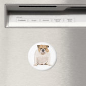 Aimant Chiot Bouledogue Anglais (In Situ (Lave-vaisselle))