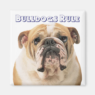 Aimant Chiot Bouledogue Anglais