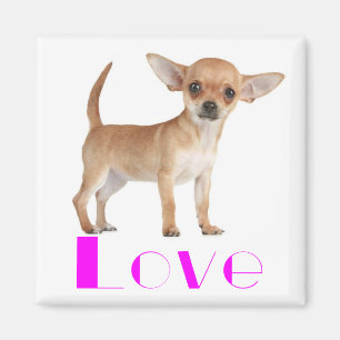 Aimant Chiot Chihuahua - Amour Rose Grandes Oreilles
