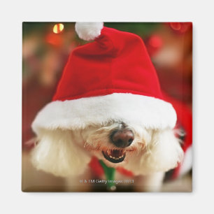 Aimant Chiot de Bichon Frise en costume Père Noël