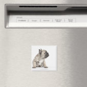 Aimant Chiot de Pedigree (In Situ (Lave-vaisselle))