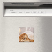 Aimant Chiot de Shiba Inu dormant sous un rideau net (In Situ (Lave-vaisselle))