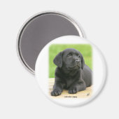 Aimant Chiot du Labrador 9Y267D-109 (Recto/Verso)