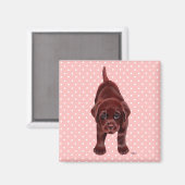 Aimant Chiot du Labrador au chocolat (Recto/Verso)