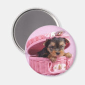 Aimant Chiot du Yorkshire (Recto/Verso)