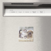 Aimant Chiot et chat bébé (In Situ (Lave-vaisselle))