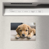 Aimant Chiot Golden Retriever (In Situ (Lave-vaisselle))
