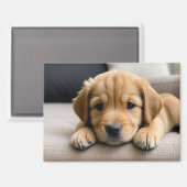 Aimant Chiot Golden Retriever (Recto/Verso)