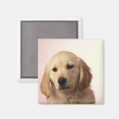 Aimant Chiot Golden Retriever (Recto/Verso)