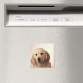 Aimant Chiot Golden Retriever (In Situ (Lave-vaisselle))