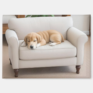 Aimant Chiot Golden Retriever Endormi