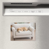 Aimant Chiot Golden Retriever Endormi (In Situ (Lave-vaisselle))