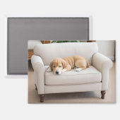 Aimant Chiot Golden Retriever Endormi (Recto/Verso)