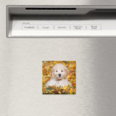 Aimant Chiot Goldendoodle En Feuilles Automnes (In Situ (Lave-vaisselle))