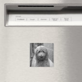 Aimant Chiot Goldendoodle en Jardin (In Situ (Lave-vaisselle))