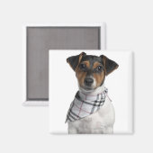 Aimant Chiot Jack Russell Terrier (4 mois) (Recto/Verso)