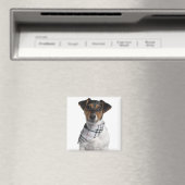 Aimant Chiot Jack Russell Terrier (4 mois) (In Situ (Lave-vaisselle))