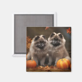 Aimant Chiot Keeshond Délice d'Automne Citrouille (Recto/Verso)