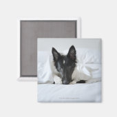 Aimant Chiot noir et blanc dans le lit avec os (Recto/Verso)