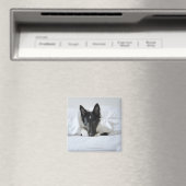 Aimant Chiot noir et blanc dans le lit avec os (In Situ (Lave-vaisselle))