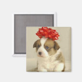 Aimant Chiot portant un arc rouge (Recto/Verso)