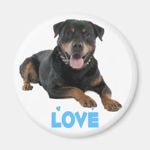 Aimant Chiot Rottweiler Brun & Noir Dessin Animé Chien Am