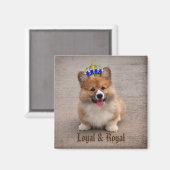 Aimant Chiot royal et loyal Corgi (Recto/Verso)