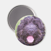 Aimant Chiot souriant (Recto/Verso)