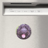 Aimant Chiot souriant (In Situ (Lave-vaisselle))