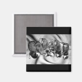 Aimant chiots à tête blanche (Recto/Verso)