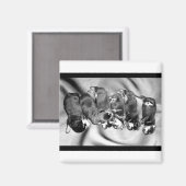 Aimant chiots à tête blanche (Recto/Verso)