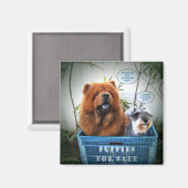 Aimant Chiots à vendre (Recto/Verso)