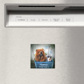 Aimant Chiots à vendre (In Situ (Lave-vaisselle))