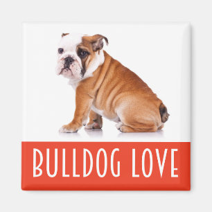 Aimant Chiots Bouledogue Anglais Amour