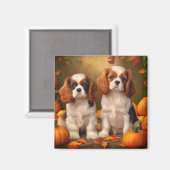 Aimant Chiots Cavalier King Charles Spaniel Citrouille d' (Recto/Verso)