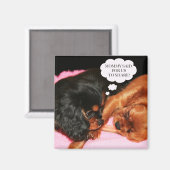 Aimant Chiots Cavalier King Charles Spaniels (Recto/Verso)