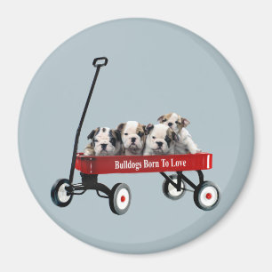 Aimant Chiots de bouledogue dans l'aimant de chariot