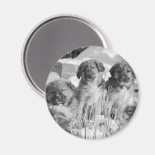 Aimant Chiots d'hiver (Recto/Verso)