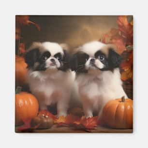 Aimant Chiots Japanese Chin Délice d'Automne Citrouille