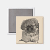 Aimant Chiots Pékinois (Recto/Verso)