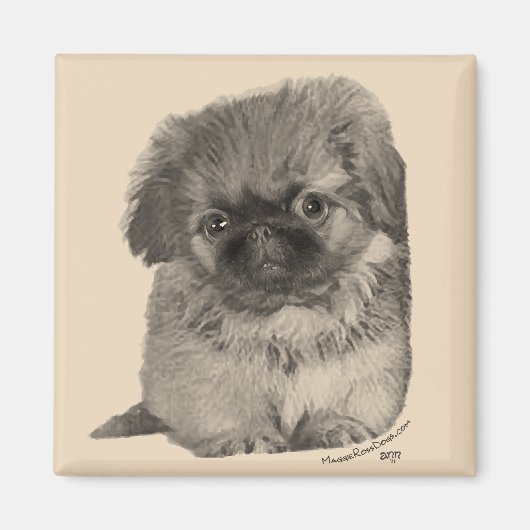 Aimant Chiots Pékinois (Devant)
