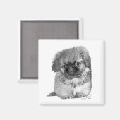 Aimant Chiots Pékinois (Recto/Verso)