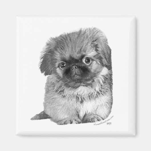 Aimant Chiots Pékinois (Devant)