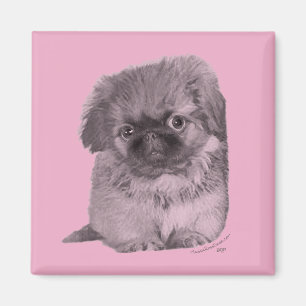 Aimant Chiots Pékinois en Rose