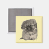 Aimant Chiots Pékinois Jaune (Recto/Verso)